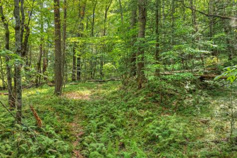 4.70 Ac Chestnut Gap Lane Blue Ridge GA 30513