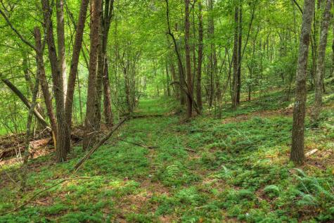 4.70 Ac Chestnut Gap Lane Blue Ridge GA 30513