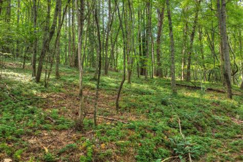 4.70 Ac Chestnut Gap Lane Blue Ridge GA 30513