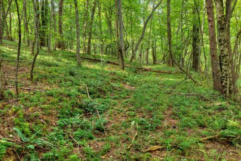 4.70 Ac Chestnut Gap Lane Blue Ridge GA 30513