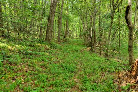 4.70 Ac Chestnut Gap Lane Blue Ridge GA 30513