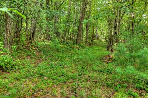 4.70 Ac Chestnut Gap Lane Blue Ridge GA 30513