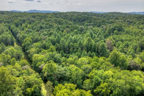 4.70 Ac Chestnut Gap Lane Blue Ridge GA 30513