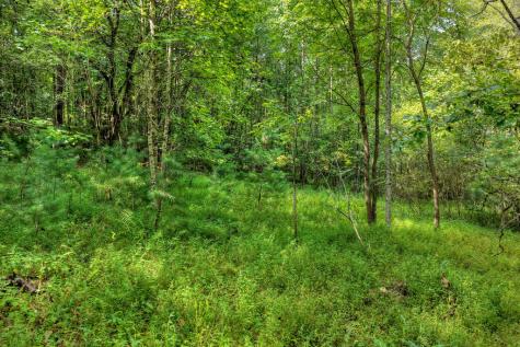4.70 Ac Chestnut Gap Lane Blue Ridge GA 30513
