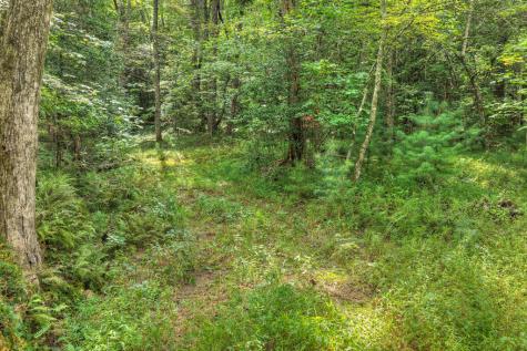 4.70 Ac Chestnut Gap Lane Blue Ridge GA 30513