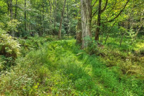 4.70 Ac Chestnut Gap Lane Blue Ridge GA 30513