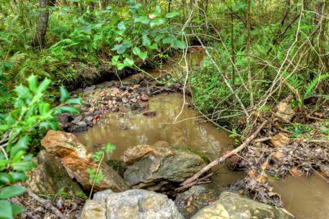4.70 Ac Chestnut Gap Lane Blue Ridge GA 30513