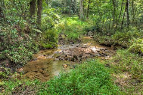 4.70 Ac Chestnut Gap Lane Blue Ridge GA 30513