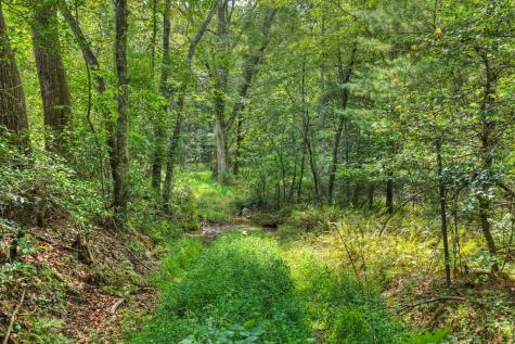 4.70 Ac Chestnut Gap Lane Blue Ridge GA 30513