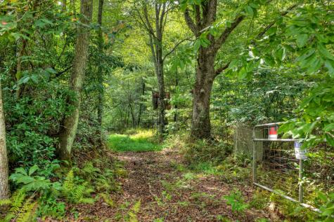 4.70 Ac Chestnut Gap Lane Blue Ridge GA 30513