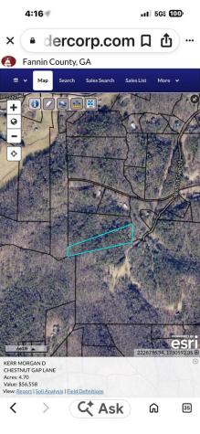 4.70 Ac Chestnut Gap Lane Blue Ridge GA 30513