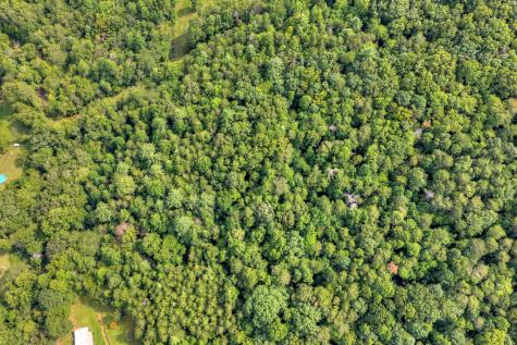 4.70 Ac Chestnut Gap Lane Blue Ridge GA 30513
