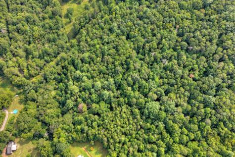 4.70 Ac Chestnut Gap Lane Blue Ridge GA 30513