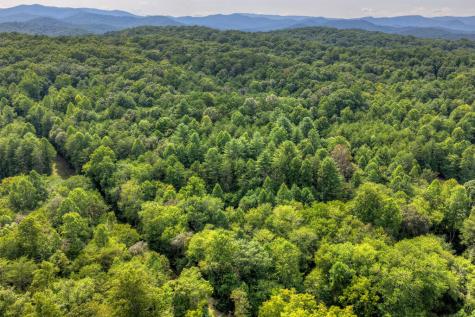 4.70 Ac Chestnut Gap Lane Blue Ridge GA 30513