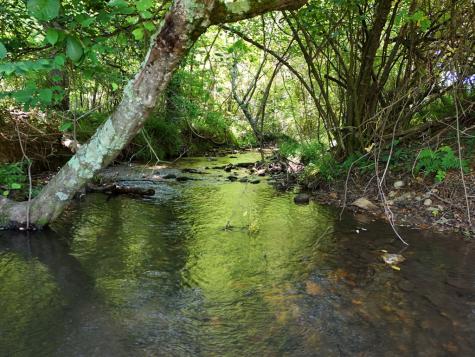 13.94AC Mount Pleasant Church Road Blairsville GA 30512