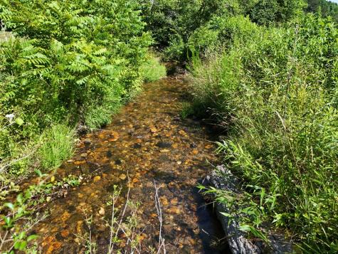 13.94AC Mount Pleasant Church Road Blairsville GA 30512