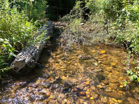 13.94AC Mount Pleasant Church Road Blairsville GA 30512