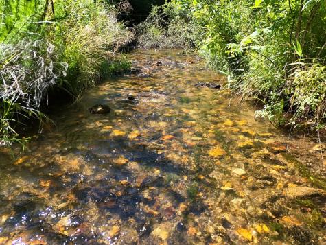 13.94AC Mount Pleasant Church Road Blairsville GA 30512