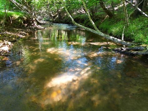 13.94AC Mount Pleasant Church Road Blairsville GA 30512