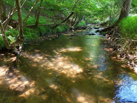 13.94AC Mount Pleasant Church Road Blairsville GA 30512