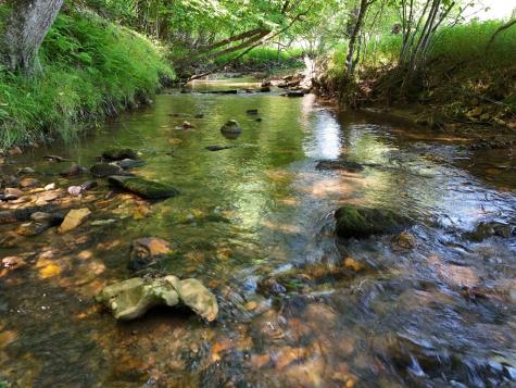 13.94AC Mount Pleasant Church Road Blairsville GA 30512