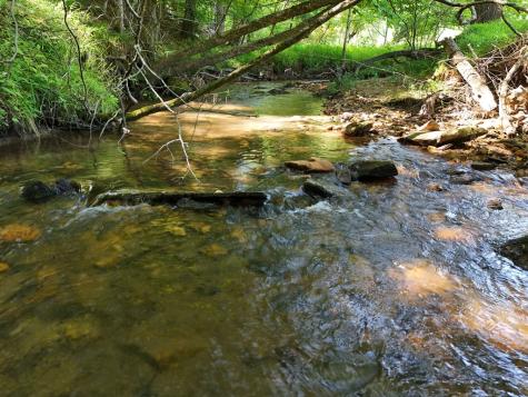 13.94AC Mount Pleasant Church Road Blairsville GA 30512