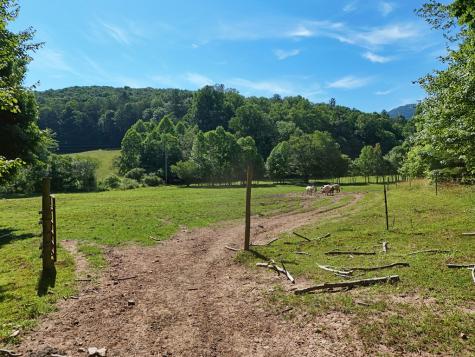 13.94AC Mount Pleasant Church Road Blairsville GA 30512