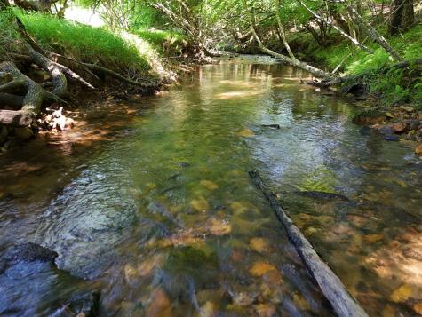 13.94AC Mount Pleasant Church Road Blairsville GA 30512