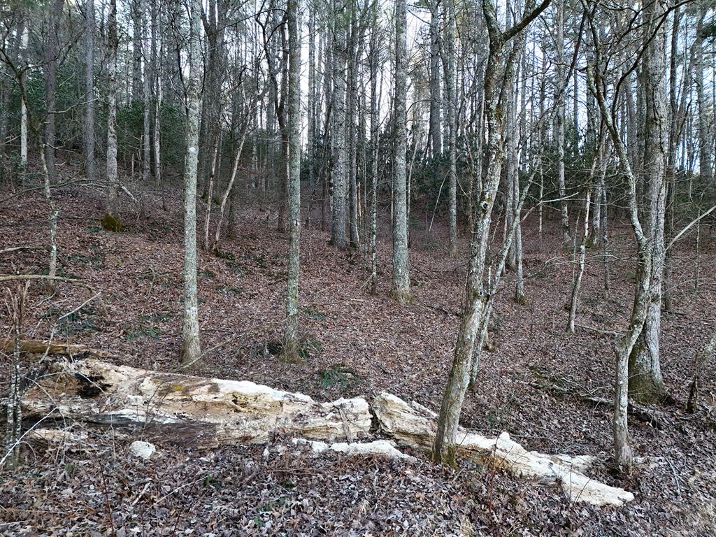Lot 2 Papas Mountain Road Blairsville GA 30512
