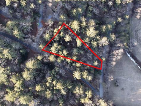 Lot 2 Papas Mountain Road Blairsville GA 30512