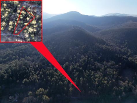 Lot 2 Papas Mountain Road Blairsville GA 30512