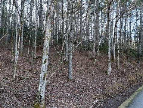 Lot 2 Papas Mountain Road Blairsville GA 30512