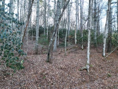 Lot 2 Papas Mountain Road Blairsville GA 30512