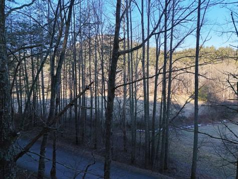 Lot 2 Papas Mountain Road Blairsville GA 30512