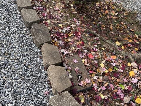 137 Apache Bend Road Blairsville GA 30512