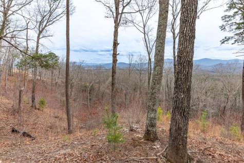 Lot 133 Blackburn Way Blairsville GA 30512