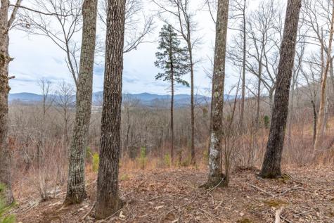 Lot 133 Blackburn Way Blairsville GA 30512