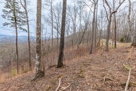 Lot 133 Blackburn Way Blairsville GA 30512