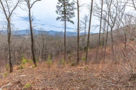 Lot 133 Blackburn Way Blairsville GA 30512