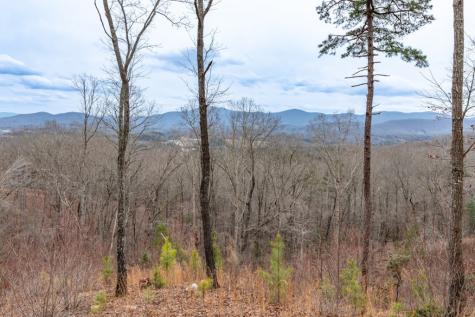 Lot 133 Blackburn Way Blairsville GA 30512