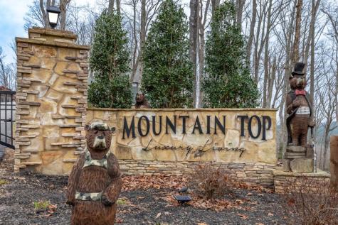 Lot 133 Blackburn Way Blairsville GA 30512