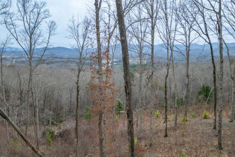 Lot 133 Blackburn Way Blairsville GA 30512