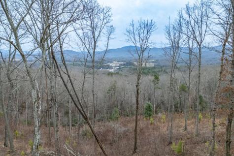 Lot 133 Blackburn Way Blairsville GA 30512