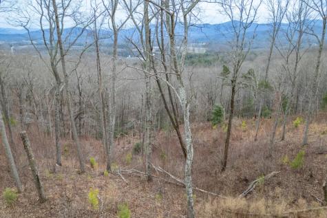 Lot 133 Blackburn Way Blairsville GA 30512