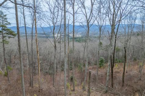 Lot 133 Blackburn Way Blairsville GA 30512