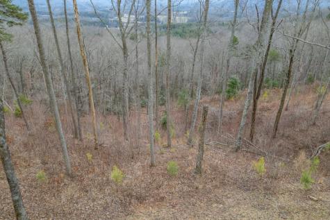 Lot 133 Blackburn Way Blairsville GA 30512