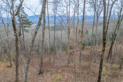 Lot 133 Blackburn Way Blairsville GA 30512