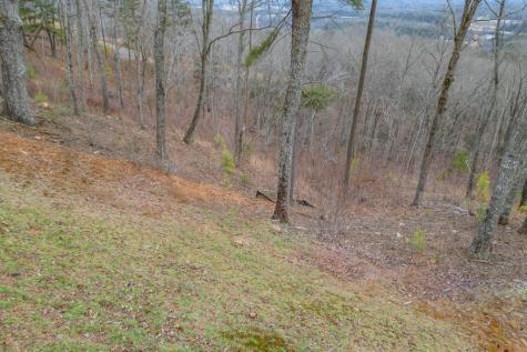 Lot 133 Blackburn Way Blairsville GA 30512
