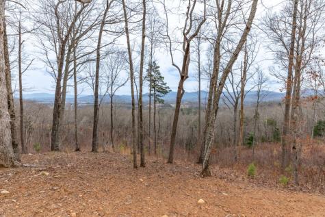 Lot 133 Blackburn Way Blairsville GA 30512
