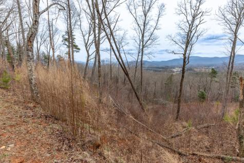 Lot 133 Blackburn Way Blairsville GA 30512